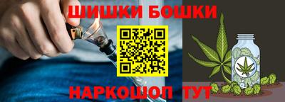 мдпв Славгород