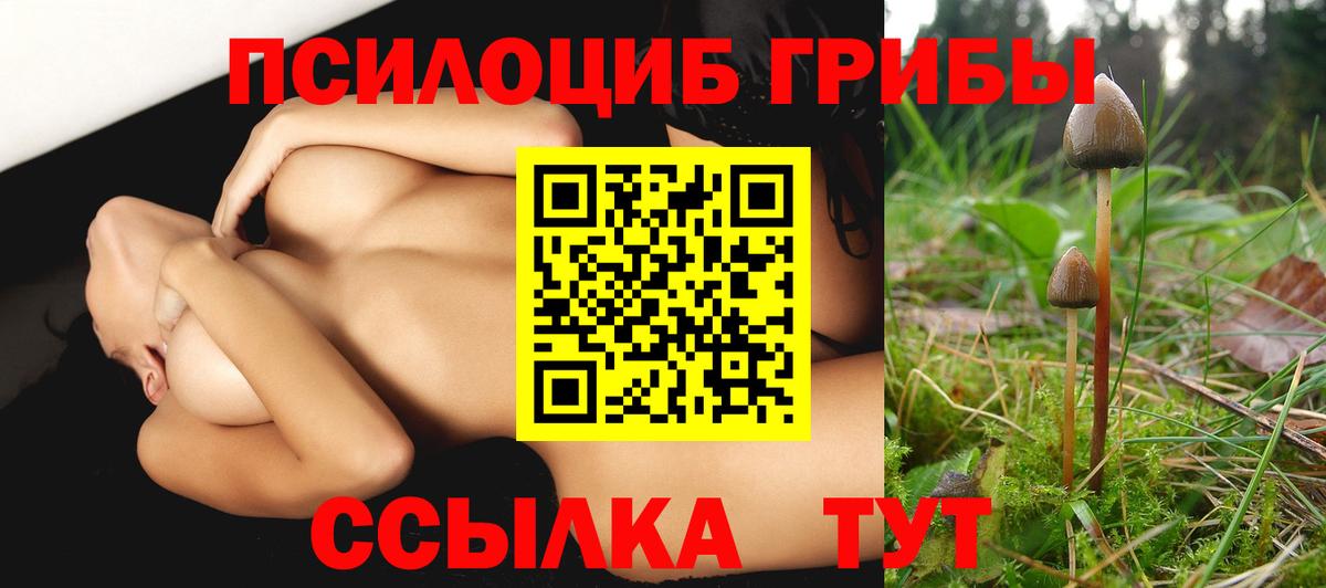 Белореченск  Галлюциногенные грибы Magic Shrooms  Вход с VPN 